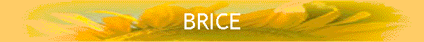 BRICE