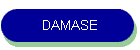 DAMASE