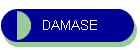 DAMASE