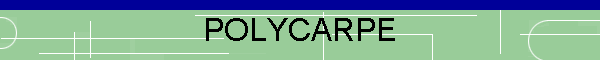 POLYCARPE