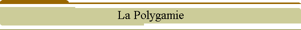 La Polygamie