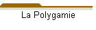 La Polygamie