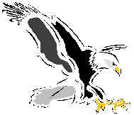 AN01137_.wmf (24192 octets)