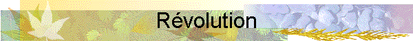 Rvolution